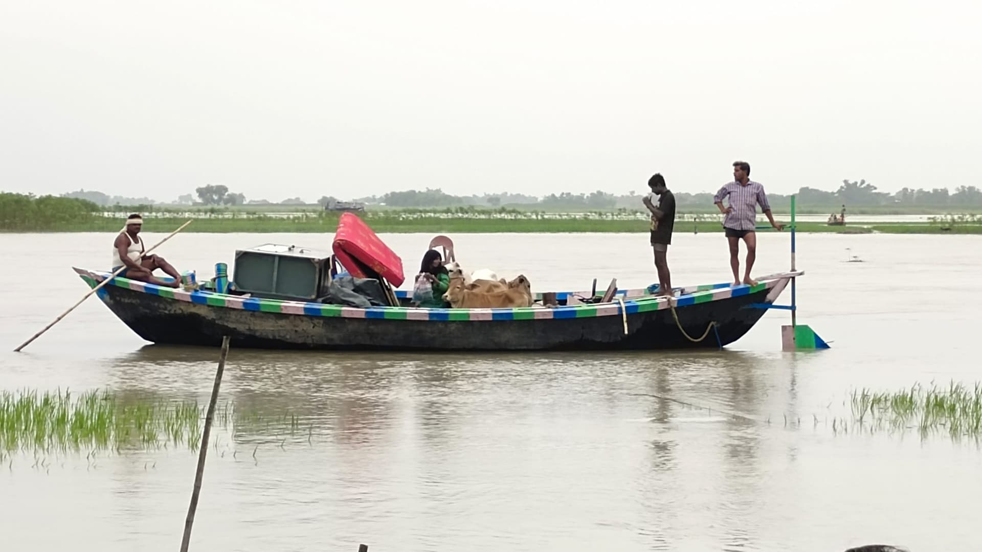 Bihar Flood: बिहार में बाढ़ का कहर, कई गांवों में घुसा पानी, सामान और पशुओं काे लेकर पलायन को मजबूर ग्रामीण