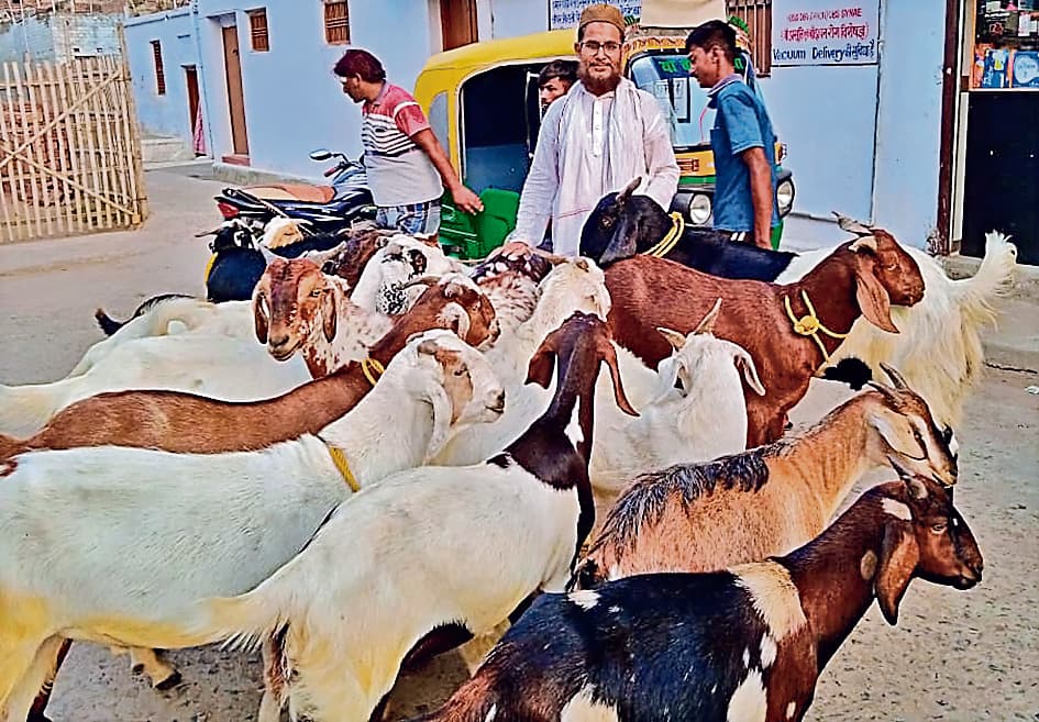 Bakrid 2023: सलमान से भी महंगा बिका अतीक अहमद, पटना के बकरा बाजार में जानिए किसकी कितनी कीमत
