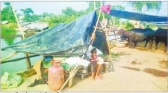 Flood in Bihar : सांप, सियार से बचने को नाव पर शरण लेने को मजबूर हैं लोग