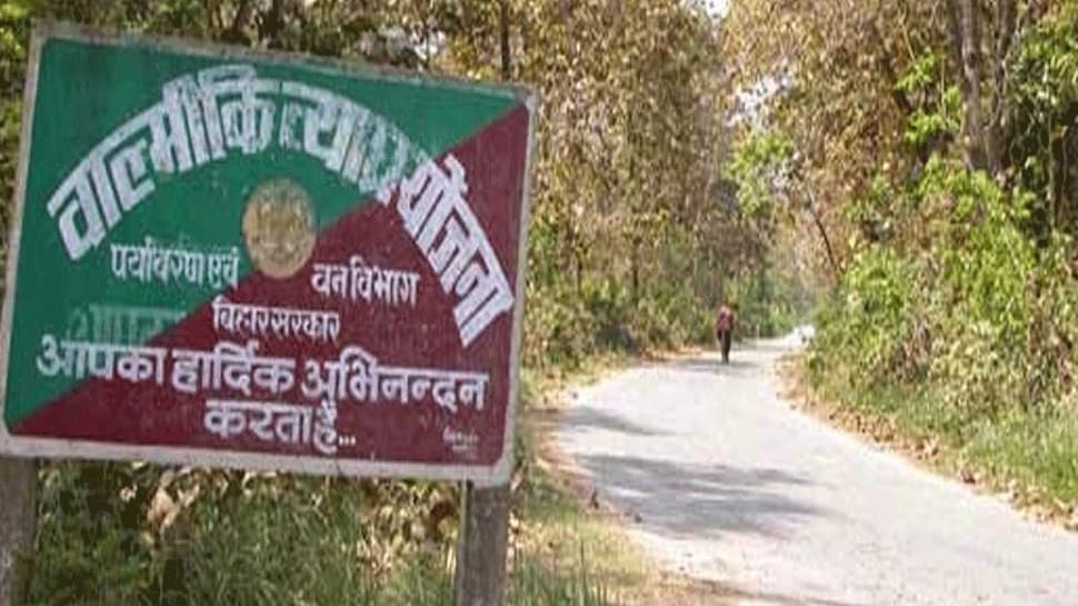 वालमिकी टाइगर रिजर्व में बंद की गई सफारी सेवा, मॉनसून की वजह से लिया गया फैसला
