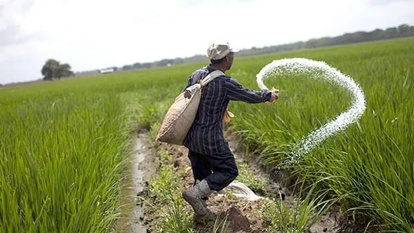 बिस्कोमान में यूरिया का स्टॉक खत्म, दुकानों का चक्कर लगा रहे किसान