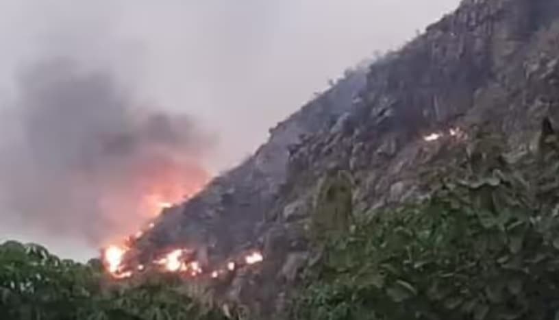 नालंदा: राजगीर के वैभारगिरि पहाड़ पर लगी भीषण आग, कई दुर्लभ पेड़ जले, शहर तक पहुंचा धुआं