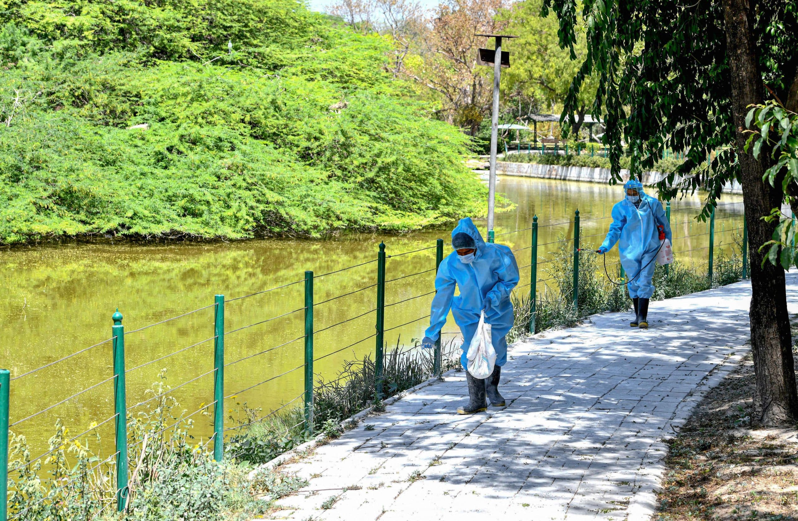 Coronavirus in Maharashtra: मुंबई में एक स्कूल के 16 स्टूडेंट मिले कोरोना पॉजिटिव, मचा हड़कंप