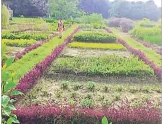 खत्म हुआ 58 साल का इंतजार, पश्चिमी कोसी नहर झंझारपुर ब्रांच कैनाल बनकर तैयार, मुख्यमंत्री करेंगे उद्घाटन