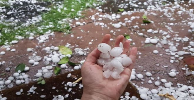 कोरोना से घबराने की जरूरत नहीं : नीतीश कुमार