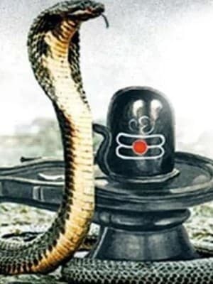 Nag Panchami 2023: नागपंचमी पर बन रहा है दुर्लभ संयोग, इन 5 राशि वालों की चमकेगी किस्मत