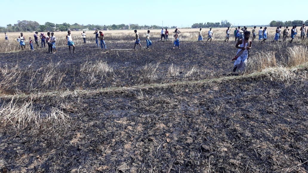 पाकुड़ में ट्रांसफॉर्मर से निकली चिंगारी से खेत में लगी 1.5 टन गेहूं की फसल जलकर खाक