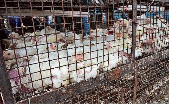 भूखल घासी की मौत के बाद हरकत में आयी सरकार