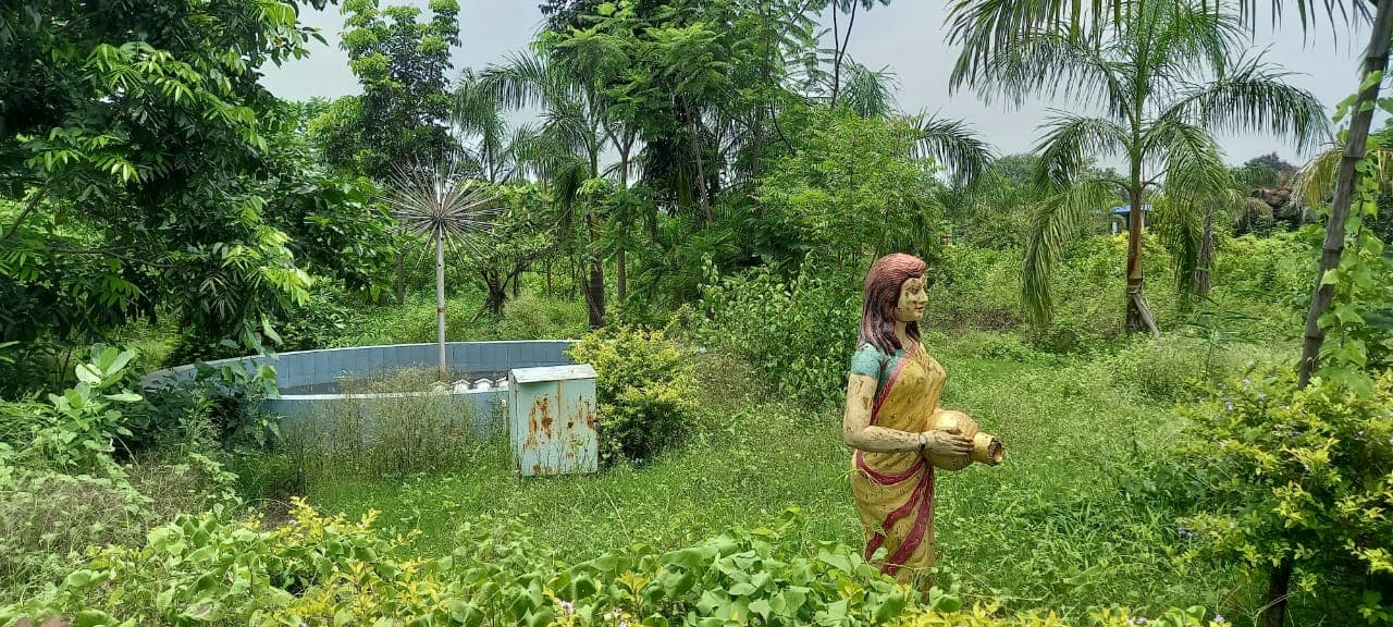 सरायकेला खरसांवा में रख रखाव के अभाव में बर्बाद हो रहा करोड़ों की लागत से बना शहीद पार्क
