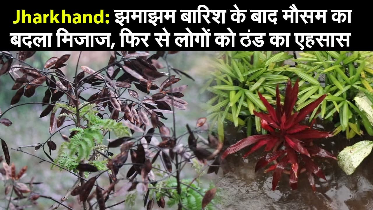 Jharkhand: झमाझम बारिश के बाद मौसम का बदला मिजाज, फिर से लोगों को ठंड का एहसास