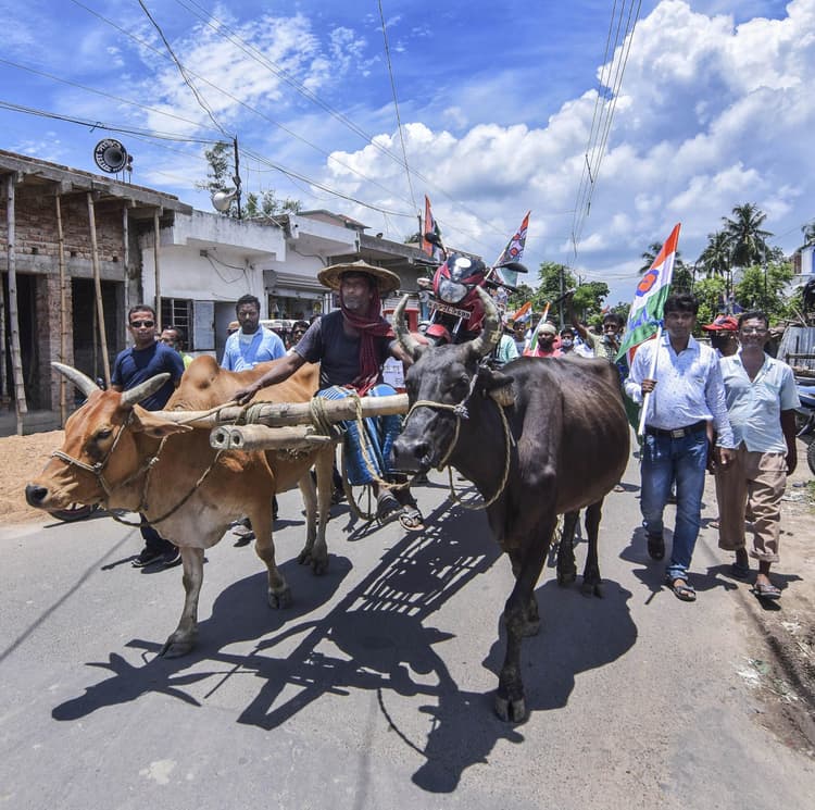 Petrol Diesel Price: चूल्हे पर खाना बनाकर, बैलगाड़ी चलाकर तृणमूल ने किया मोदी सरकार के खिलाफ प्रदर्शन