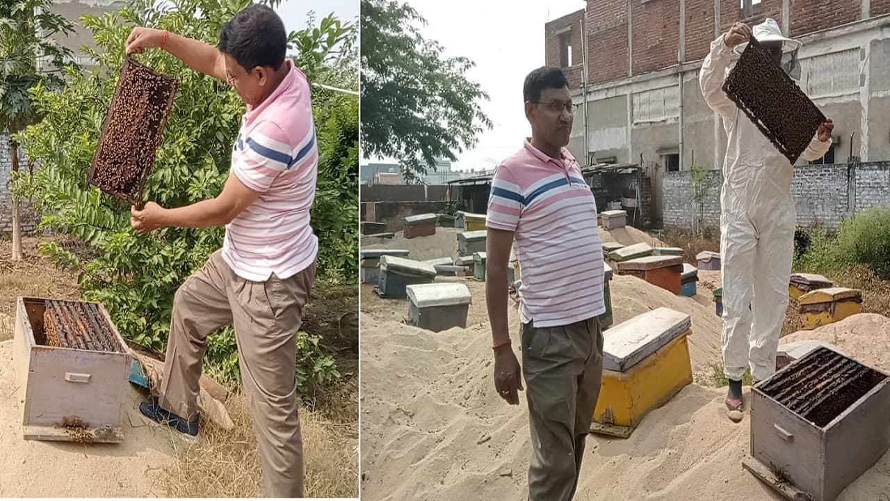 Lalu Yadav Health News Live: लालू यादव के शरीर में नहीं हो रही मूवमेंट, राबड़ी बोलीं दुआ कीजिए