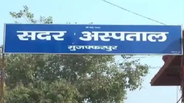 Bihar Panchayat Chunav Result : 10वें चरण की मतगणना जारी, नये चहरों पर बढ़ा भरोसा, जानें कौन कहां से जीता