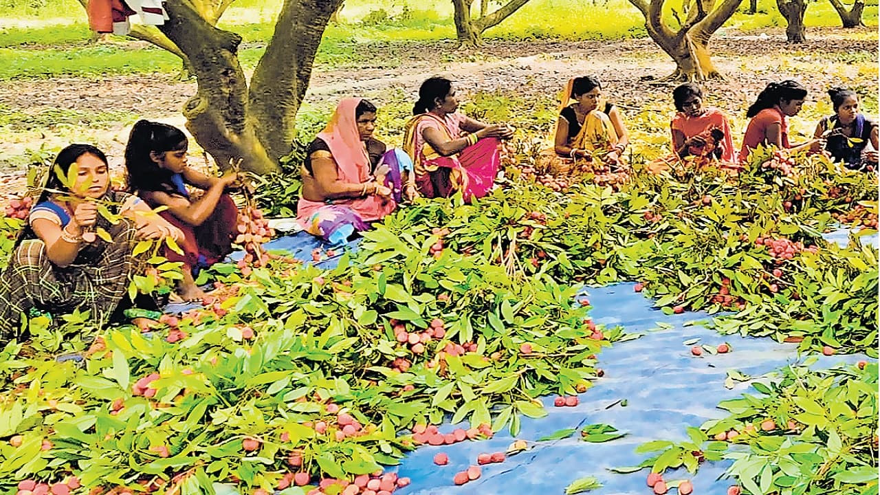 Bihar Bandh Today Live: बिहार बंद के दौरान कई जगहों पर उपद्रव, फतुहा व अरवल में एंबुलेंस पर हमला