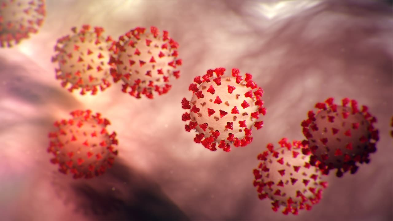 Coronavirus : इटली का " वो " शहर जो पूरी दुनिया के लिए बन सकता है मिसाल
