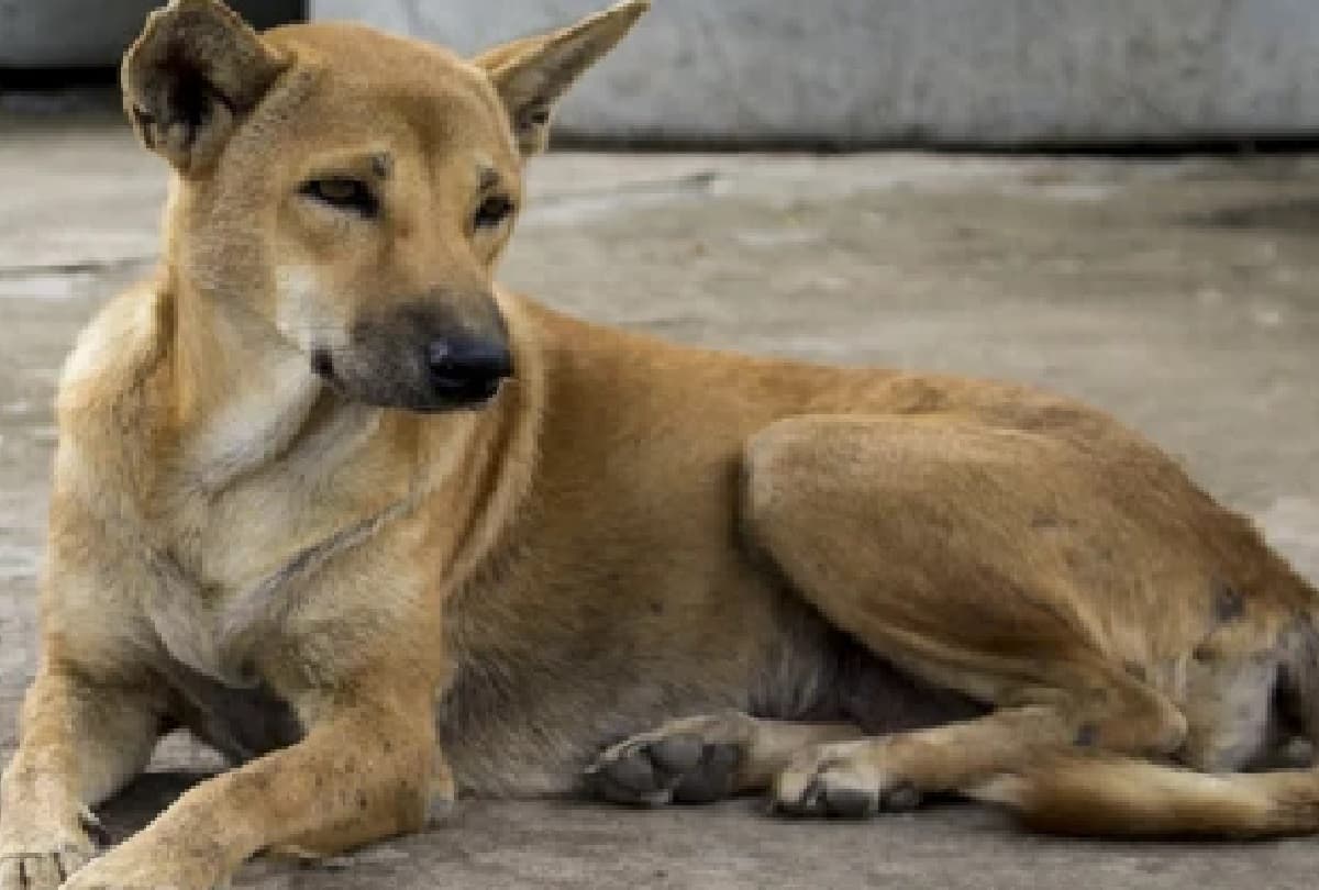 पीएम मोदी समेत इन नेताओं ने ऐसे दी मनोहर लाल खट्टर को जन्मदिन की बधाई