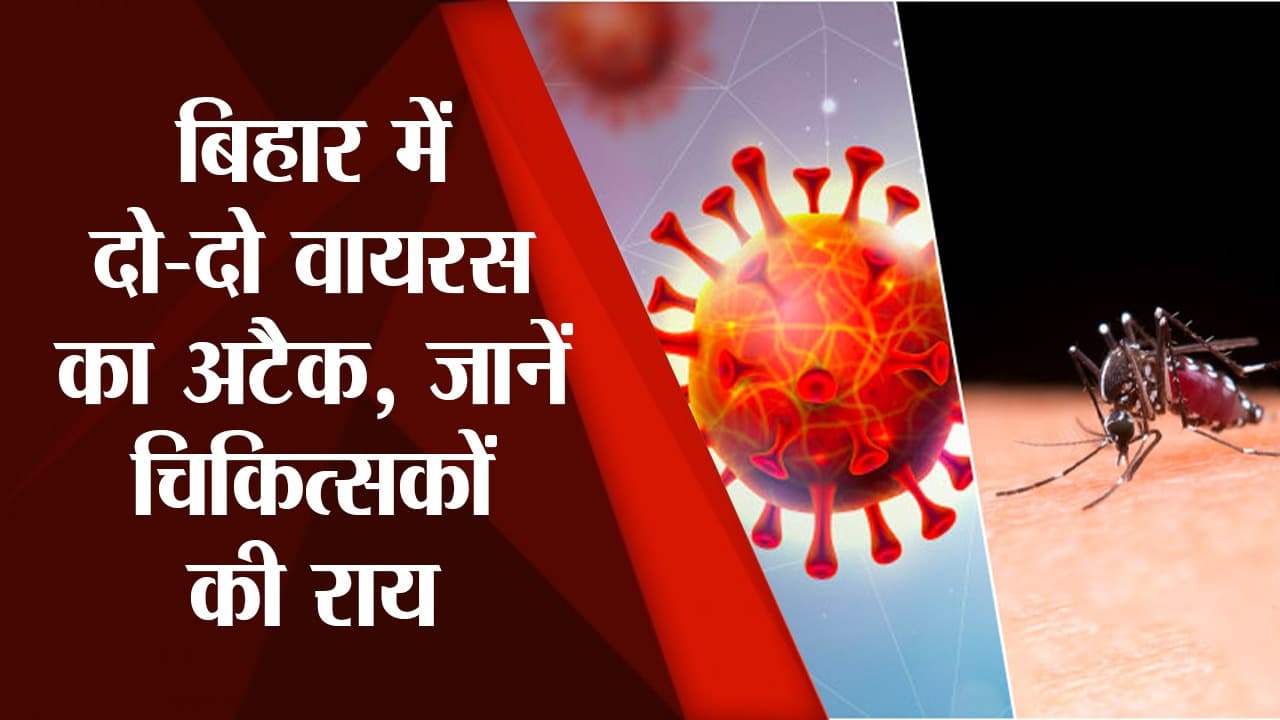 Dengue Alert : डेंगू से पूरा बिहार ग्रसित, डॉक्टर से जानें इसका लक्षण और सावधानियां, देखें video