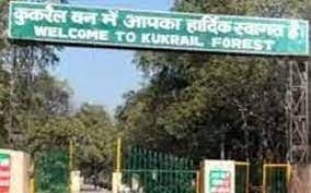 UP News: लखनऊ की कुकरैल नाइट सफारी को मिली सैद्धान्तिक सहमति, CM योगी ने PM मोदी का जताया आभार