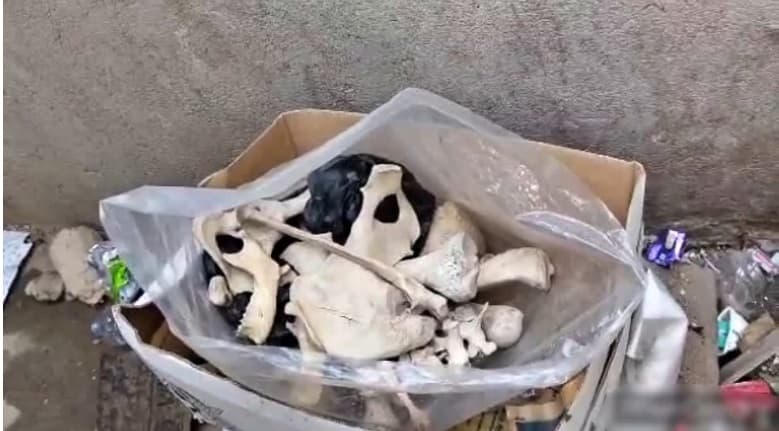 पटना के पॉश इलाके में डस्टबिन से मिला नर कंकाल, इलाके के लोगों में सनसनी, FSL करेगी जांच