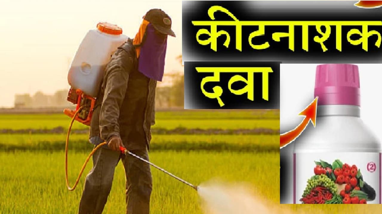 अलीगढ़ में 53 कीटनाशक दुकानों का लाइसेंस निरस्त, बिना डिग्री और डिप्लोमा कोर्स के नहीं खोल पाएंगे दुकान