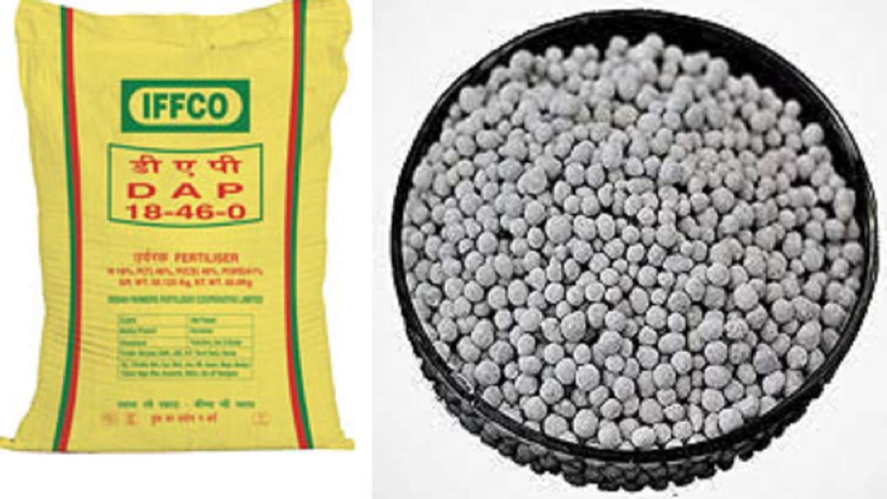 बिहार से नेपाल-बांग्लादेश में फर्टिलाइजर की तस्करी, कृषि मंत्री ने किया आपूर्ति में बदलाव