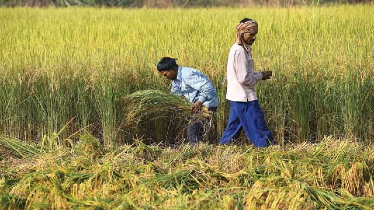 देश की GDP के आंकड़े आज आएंगे, कोरोना-लॉकडाउन के कारण कितना नुकसान हुआ, पता चलेगा