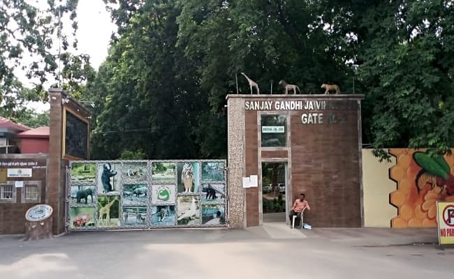 छठ पूजा के लिए पटना जू के झील में किया जायेगा बैरिकेडिंग, जानवरों के बाड़े की ओर जाना रहेगा प्रतिबंधित