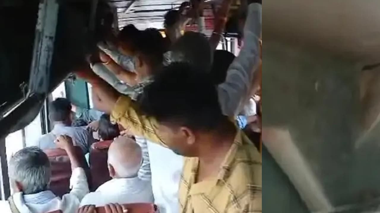 Hariyali Teej 2020: सौंदर्य और प्रेम का पर्व है हरियाली तीज, जानिए समय-शुभ मुहूर्त और पूजा करने की विधि