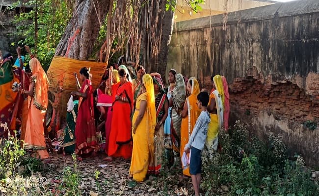 सुहागिन महिलाओं ने अपने सुहाग की लंबी उम्र के लिए रखा व्रत,घरों में रहकर भी की गयी वट सावित्री पूजा