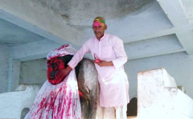 मगध में होली खेलने की परंपराएं आज भी कायम, ...जानें कैसे खेलते हैं होली?