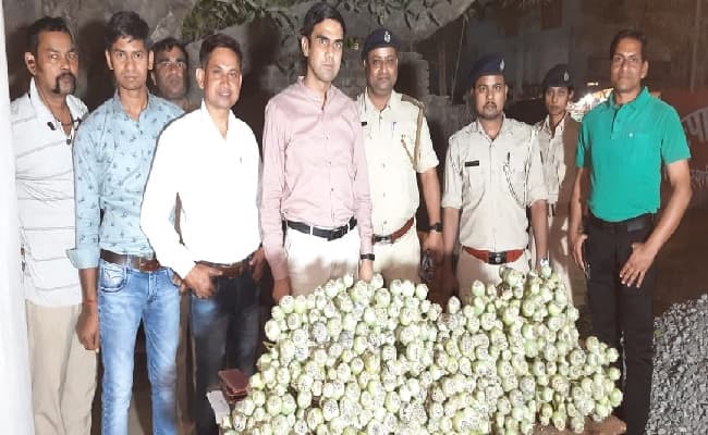 Bihar News: नालंदा में एक हजार पीस अफीम का पौधा जब्त, जानें इससे कितने प्रकार के ड्रग्स किये जाते है तैयार