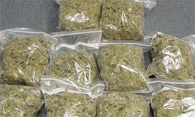 मुजफ्फरपुर में NCB की कार्रवाई-दरभंगा मोड़ से एक तस्कर को 310 kg गांजा के साथ पकड़ा,पटना से पहुंची थी टीम