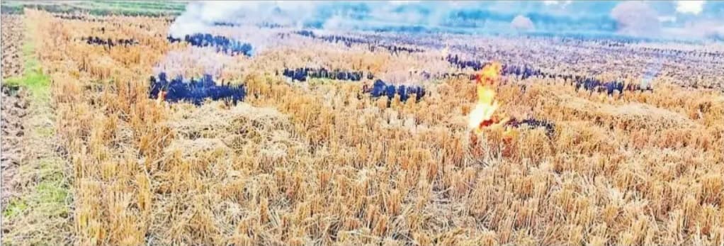 नहीं मान रहे किसान, प्रतिबंध के बावजूद बिहार में धड़ल्ले से खेतों में जल रही है पराली