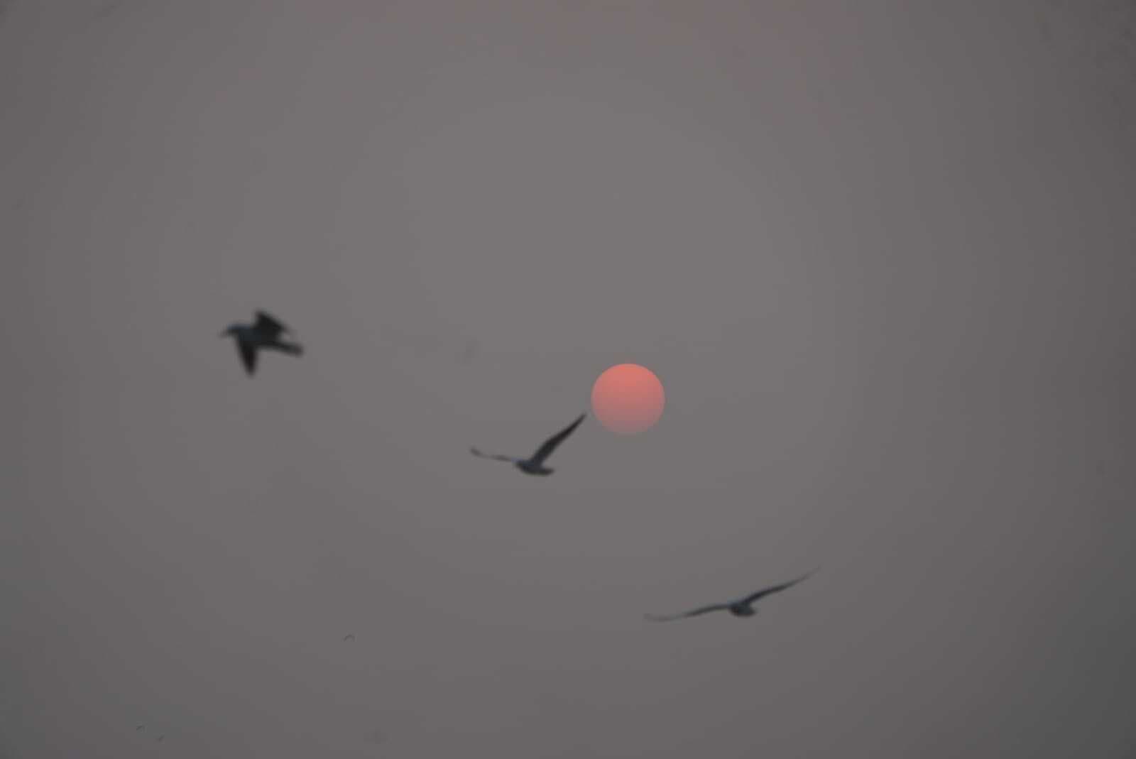 UP Weather Report Update: अभी ठंड का प्रकोप रहेगा जारी, मौसम विभाग का अनुमान- 9 जनवरी तक हो सकती है बारिश