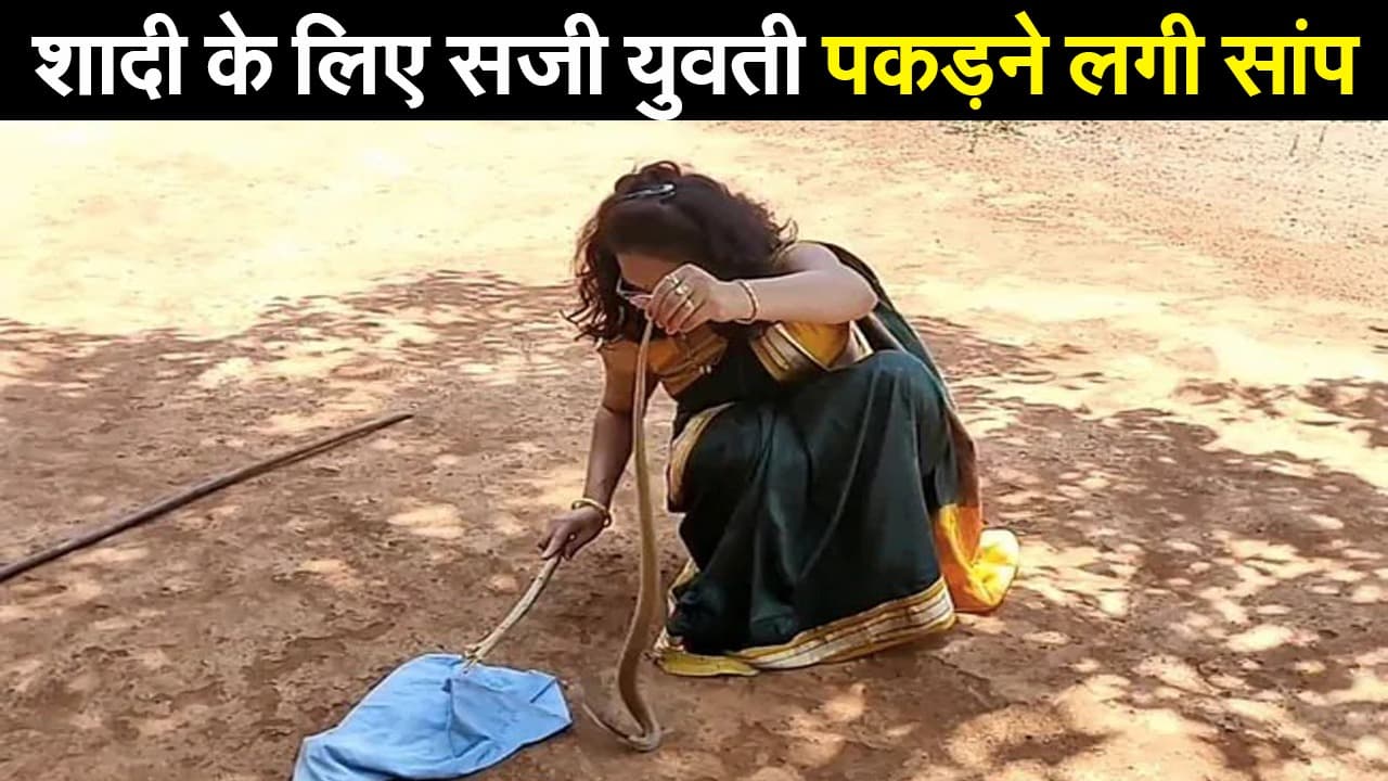शादी के लिए सजी लड़की पकड़ने लगी सांप, देखें दिलचस्प VIDEO