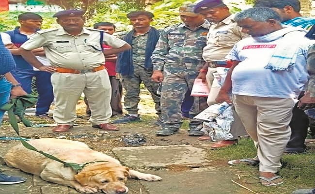 Munger News: पटना में तैयारी करने वाले युवक को तलवार से काटकर भागे अपराधी, खोजी कुत्ता के साथ जुटाया गया सबूत