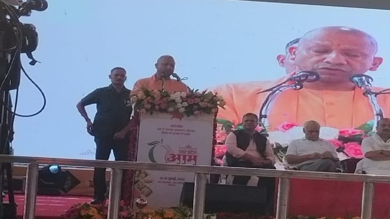 सीएम योगी ने किया 'आम महोत्सव 2023' का उद्घाटन, CM बोले- यूरोप का बाजार कर रहा यूपी के आम का इंतजार
