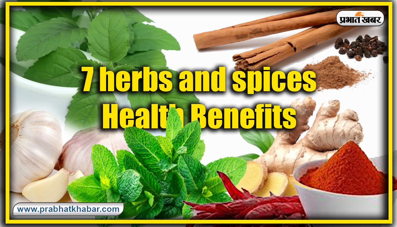 दालचीनी, मेथी, पुदीना, हल्दी, अदरक समेत ये 7 जड़ी-बूटियां और मसाले जो आम सर्दी जुकाम से लेकर कैंसर और कोरोना में भी है लाभदायक