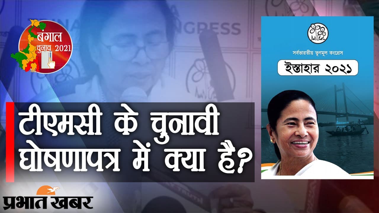 TMC Manifesto: हर साल 5 लाख नौकरी, 10 लाख MSME, 2,000 बड़े उद्योग, ममता ने खोला वायदों का पिटारा