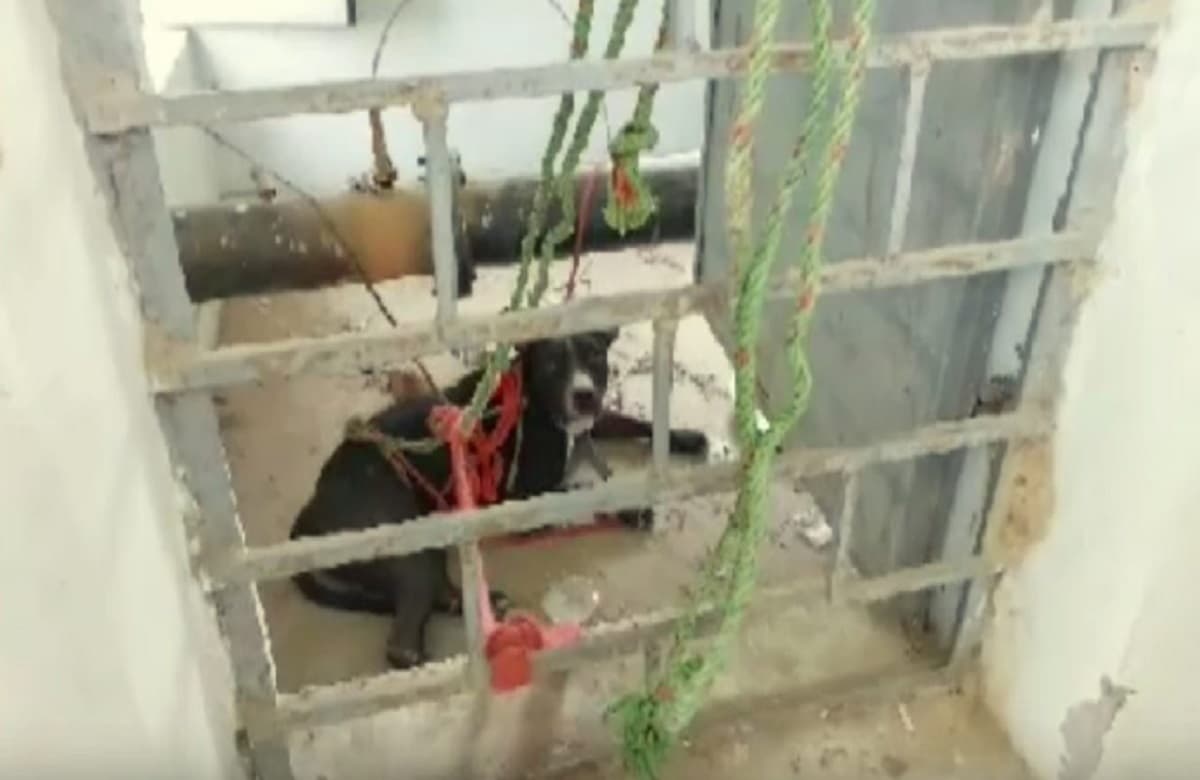 यूपी बोर्ड: छात्र 7 जून तक करें कंपार्टमेंट के लिए रजिस्ट्रेशन, जानें कैसे करें अप्लाई