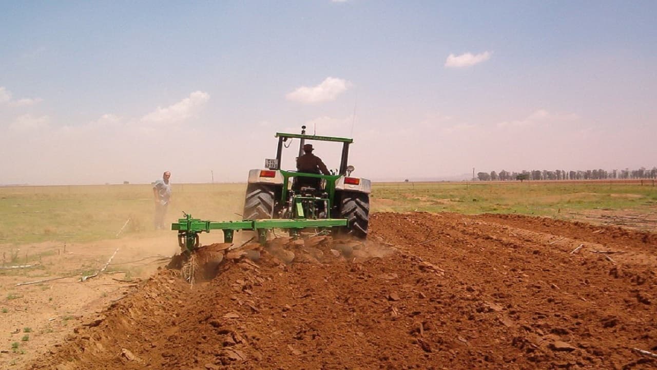World Environment Day: बिहार में खाद में तीन गुना किया जा रहा है नाइट्रोजन का उपयोग, इससे बढ़ रहा तापमान