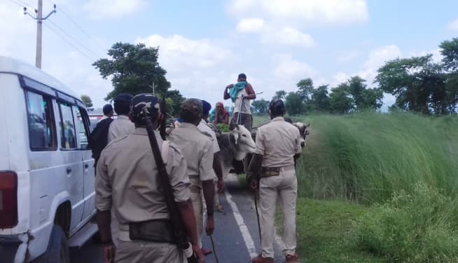 जंगल की लकड़ी बेचने जा रहा अधेड़ वनकर्मियों को देख नहर में कूदा, लॉकडाउन में आर्थिक तंगी के कारण लकड़ी बेच चला रहा था आजीविका