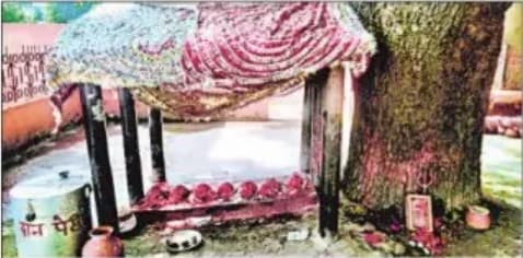 बगहा में हिंदू मुस्लिम एकता का प्रतीक है बउकी माई, यहां एक साथ लगते हैं जय माता की व  अल्लाह हो अकबर के नारे