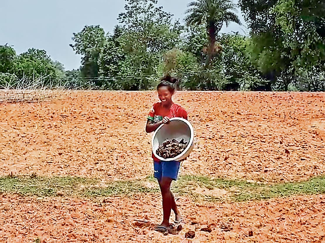 Jharkhand : लॉकडाउन में फिटनेस के लिए खेतों में काम कर रहीं नेशनल व इंटरनेशनल हॉकी खिलाड़ी