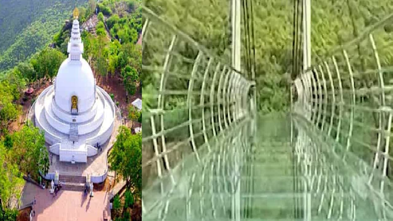 न्यू ईयर में घूमने की कर रहे तैयारी तो जरूर पढ़ें ये खबर, बिहार के इन 5 शहरों में दिखेगा बहुत कुछ खास