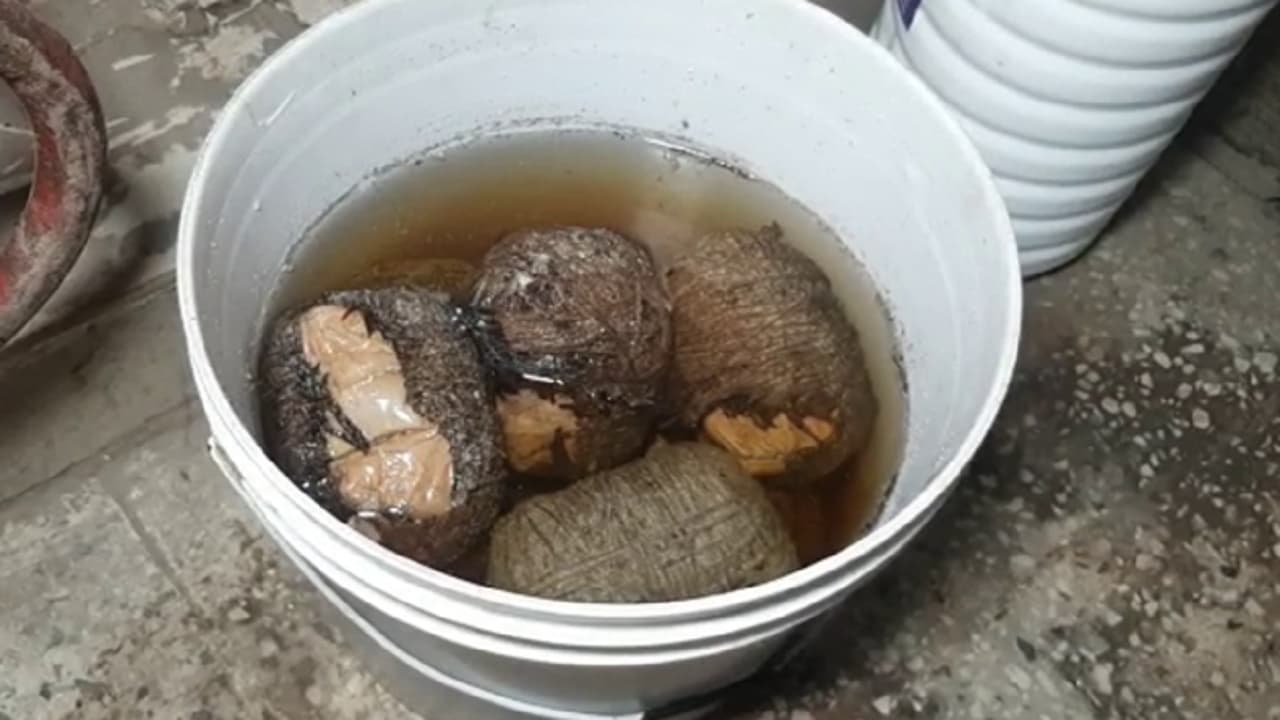 हाजीपुर को दहलाने की साजिश नाकाम, फलों की टोकरी से मिला बमों का जखीरा, जांच में जुटी पुलिस