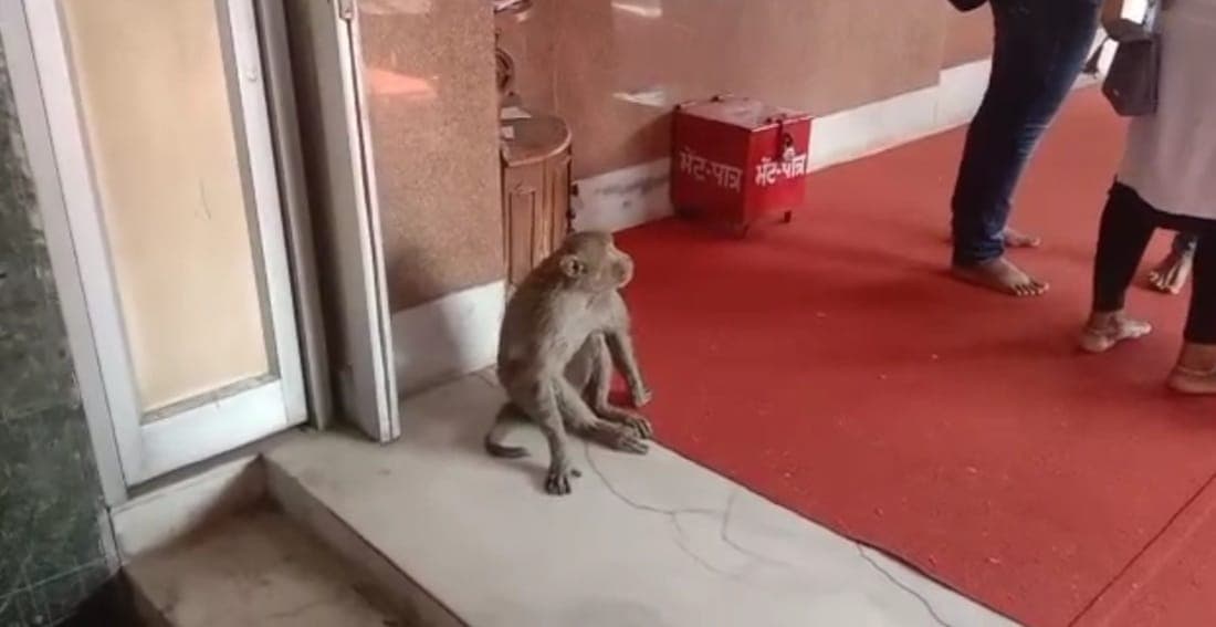 आरती के वक्त पटना के महावीर मंदिर में पहुंचे हनुमान, भक्तों ने खिलाया लड्डू, लगाये नारे