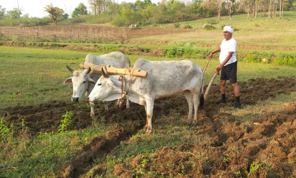 केंद्र सरकार किसानों के दे रही तीन हजार रुपये की मासिक पेंशन, जानें कैसे उठाएं योजना का लाभ