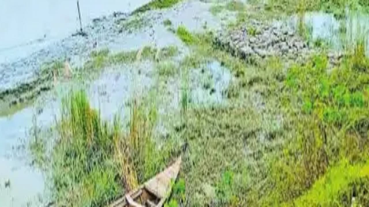 छपरा में गंडक का जल स्तर 16 सेंटीमीटर घटा, गंगा और घाघरा में बढ़ोतरी, ग्रामीणों को सता रहा बाढ़ का खतरा