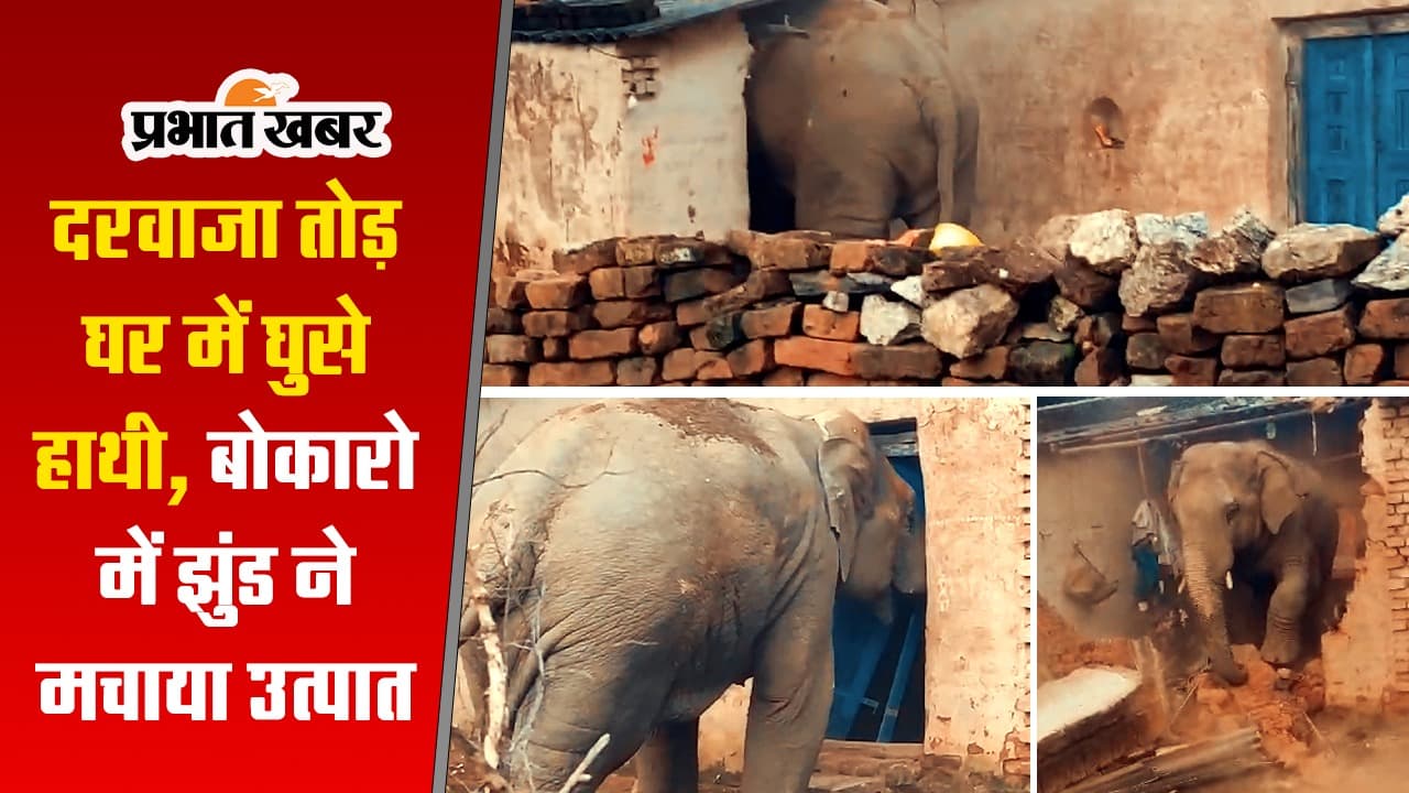 बोकारो में लोगों के घर घुसा हाथियों का झुंड, देखें VIDEO